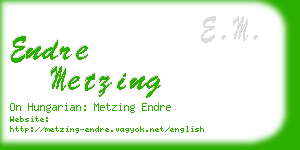 endre metzing business card